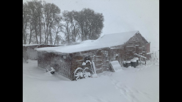 The Back Door at 40 Below