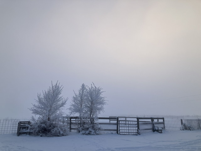 Wintering Well Part 3:  Shoveling, Shoveling, I Suddenly Remember Green