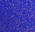 Blue Sparkle