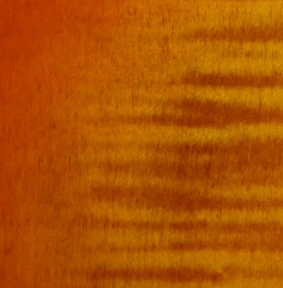 Honey Burst