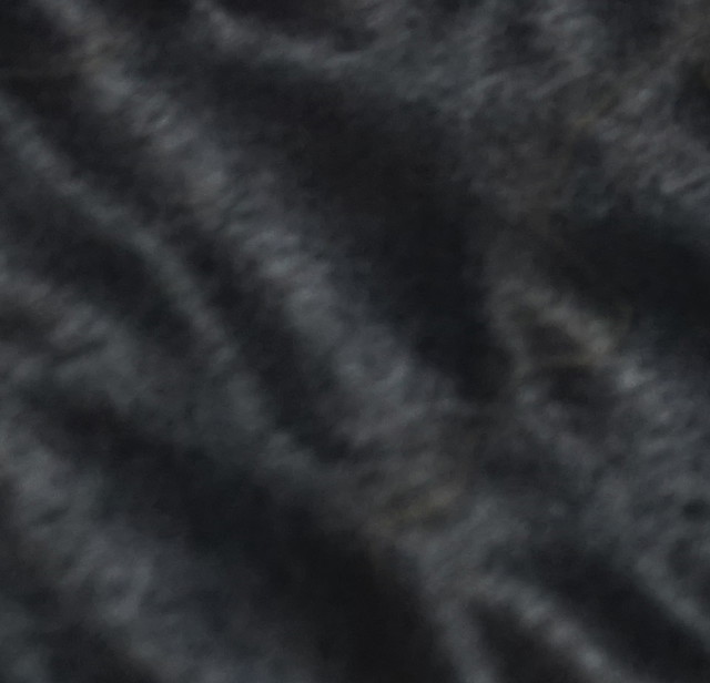 Black Stain Gloss