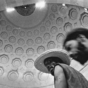 Shake Your Money Maker