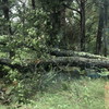 Gallery 05