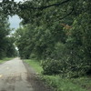 Gallery 06
