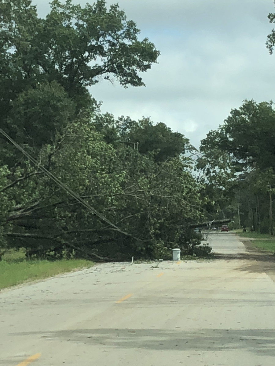 Gallery 11