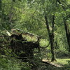 Gallery 25