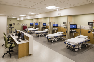 4 NYU-023 Beds