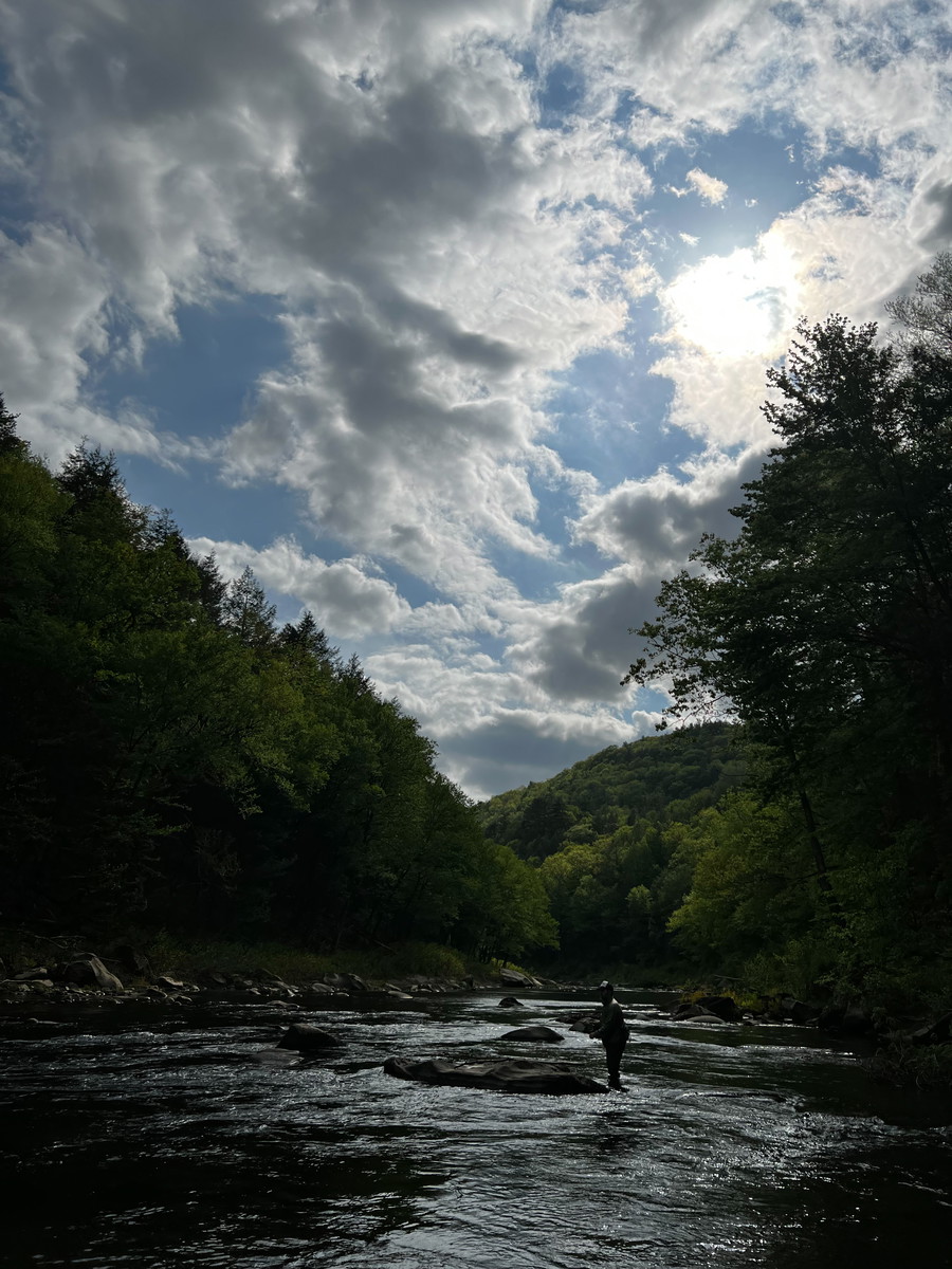 Mule Bus Stop: Fly fishing with Jeffrey Foucault