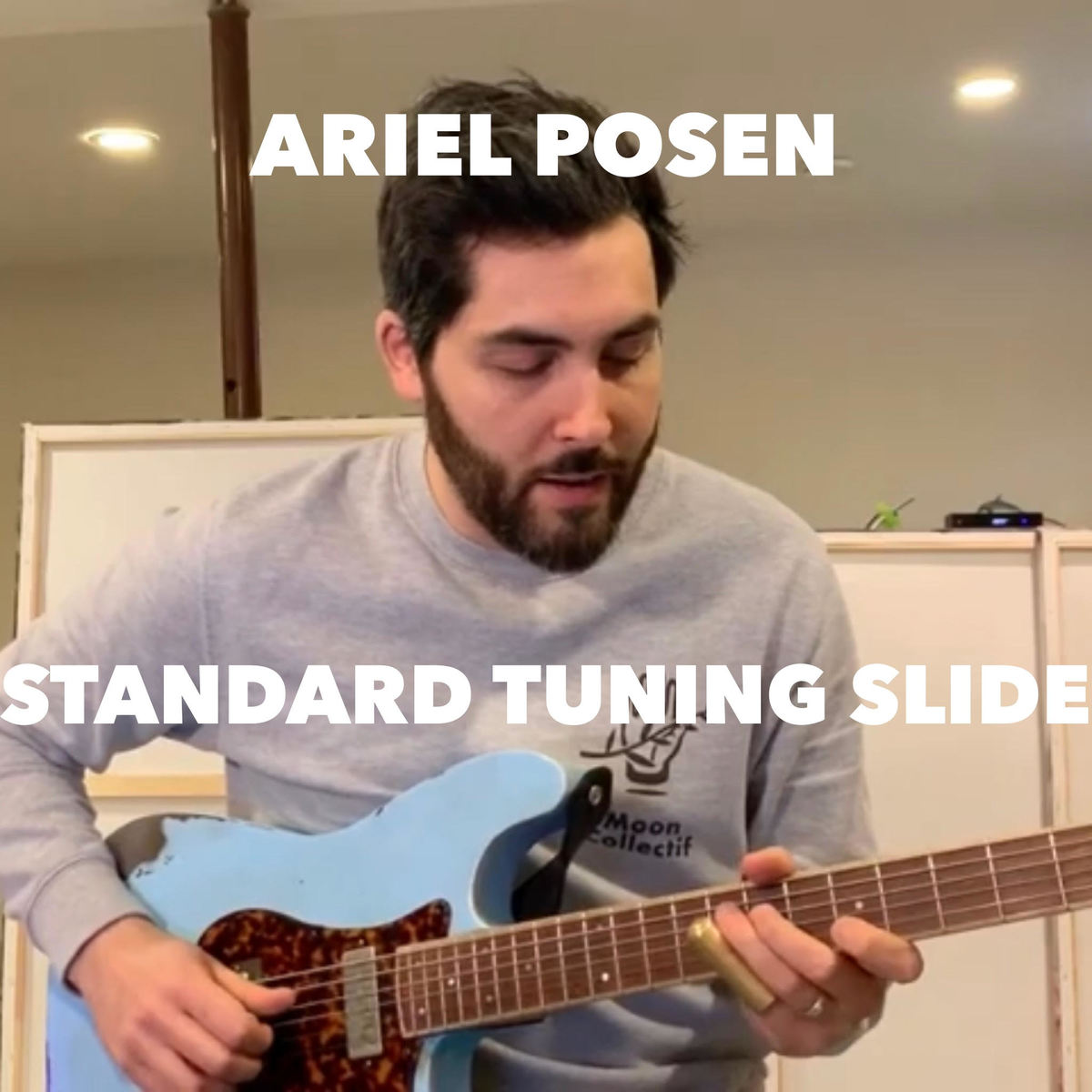 Ariel Posen - Standard Tuning Slide