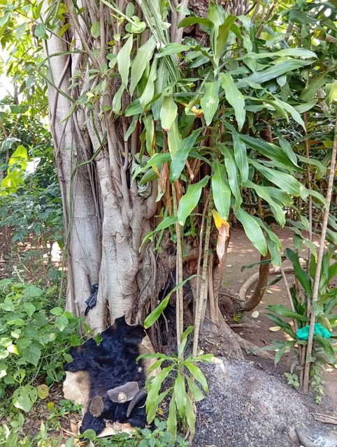 ✴️Sangoma -Traditional healer -Herbalists -Diviner - Dr ✴️+27687358083)) Lost love Spell Caster in ATLANTIS (Cape Town),PATERNOSTER,LANGEBAAN,(PIMVILLE),FRANSCHHOEK,PAARL,STELLENBOSCH,DURBANVILLE,SIMON'S TOWN,BELLVILLE,FISH HOEK