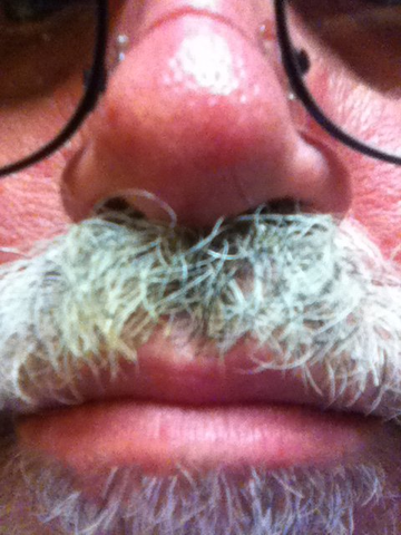 Saul