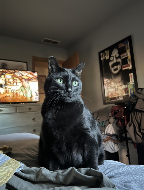 Tommy  M.