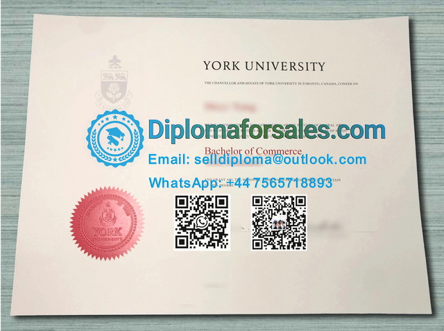 York University Diploma