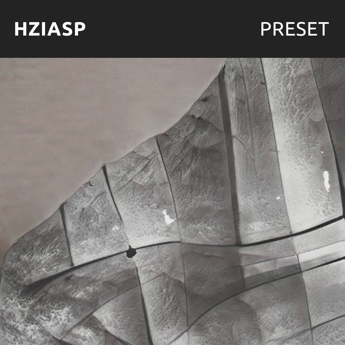 Hans Zen Is A Synth Patch