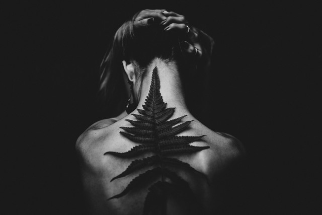 The Wisdom Body