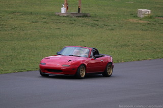 Img 4866