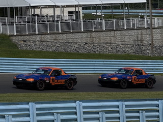 Img 0224