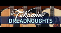 Dreadnought: The Iconic Acoustic Guitar