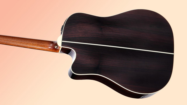 Takamine Wood Shop: Rosewood