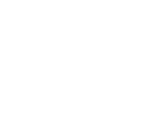 Tone Shop Guitars Online