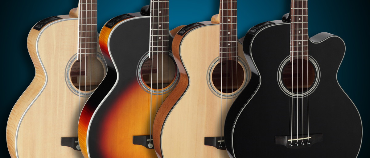 Carousel Slide: B Series Basses