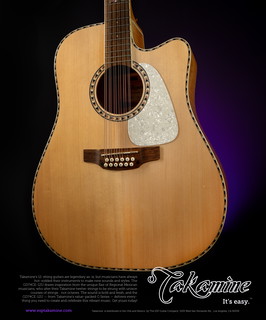 Takamine Gd74 Ce 12 Ad