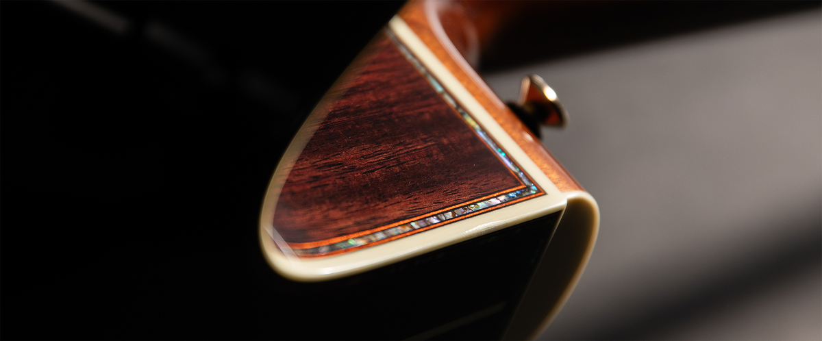 P10NC - Takamine