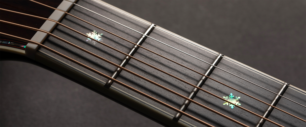 P10NC - Takamine