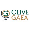 Olive Gaea