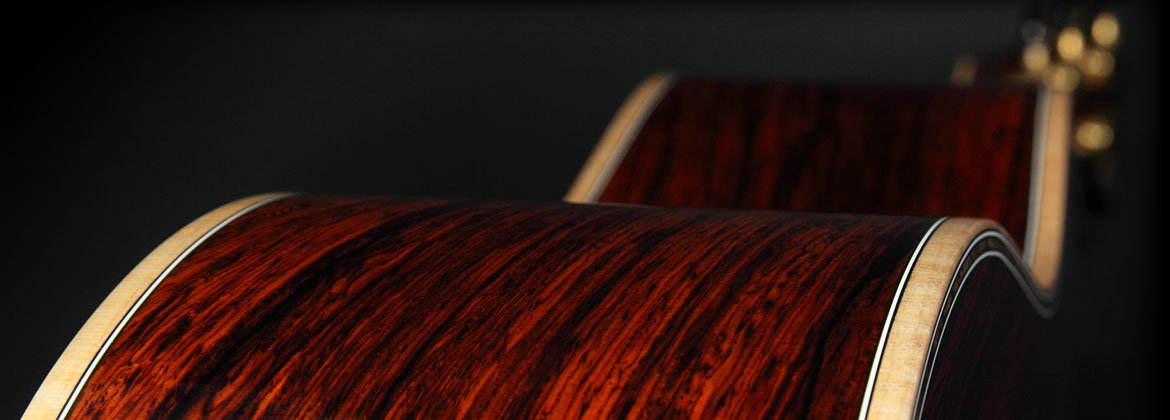 Header Image